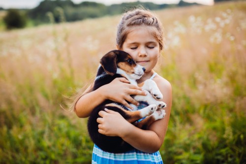 HOW DOGS AND CATS CALM CHILDREN